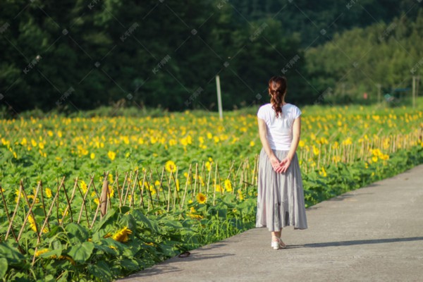 武汉老街茶馆寻幽探秘地图
